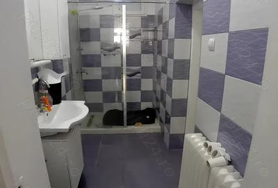 Casa 6 camere , ELISABETIN - langa Observatorul Astonomic - 6