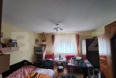 Casa cu 2 apartamente in Livezeni - 9