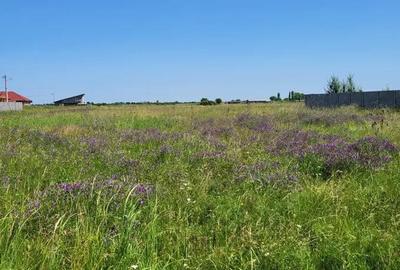 Teren de 718 mp, în Săcălaz - 1