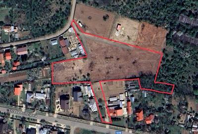 Teren 5.500 mp - Peris, langa padure | Ideal pentru dezvoltare imobiliara | Desc