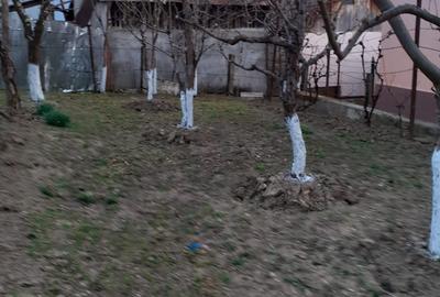Casă cu 3 camere în Făget - 7