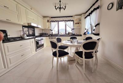 Vanzare proprietate - casa si terenValea Voievozilor Dambovita - 29