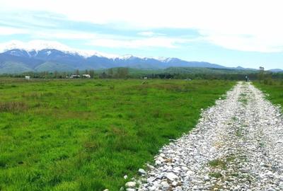 Teren extravilan  de vanzare | 8000 mp|- Valea Avrigului - 2