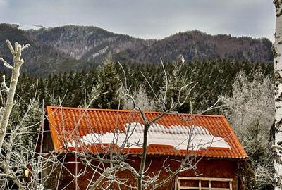 Casă cu 5 camere cu Canalizare în Timișu de Sus - 3