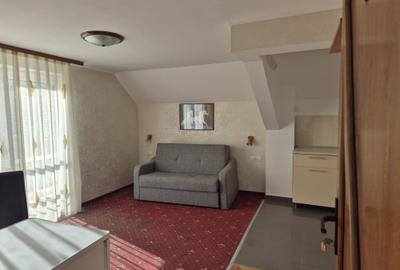 Vila Bran 2 Garsoniere Parter, 1 Apartament și Ultima din 9 New 2025 - 7