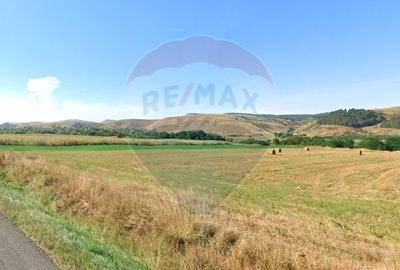 Teren industrial 9.000 mp Gilau Front la DN1 E60 Acces TIR - 2