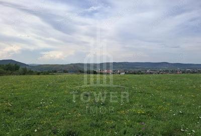 Teren de 1500 mp, în Orlat - 6