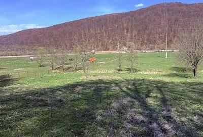 Teren de 7300 mp, în Tărlungeni - 3