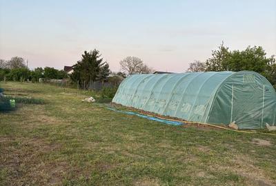 Spațiu comercial, în Ulmi - 6