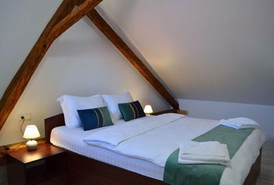 Apartament cu 3 camere decomandat în Ultracentral - 8