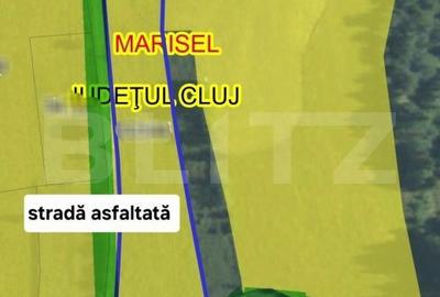 Spațiu comercial, în Beliș - 1