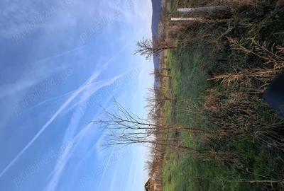 Casă în Pleșoiu (Nicolae Bălcescu) - 5