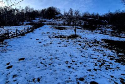 Teren intravilan Simon/Bran, 4318 mp , casuta intabulata, utilitati - 23