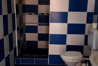 Vand casa langa Variasu Mic - 1