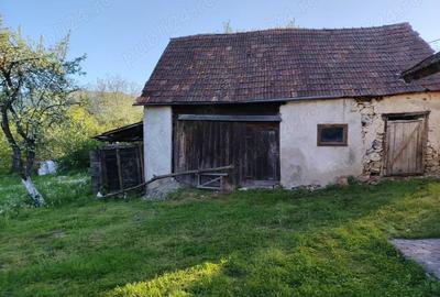 Teren 800 mp in Sarmizegetusa, cu anexa veche (demolabila), u?or in panta - 4