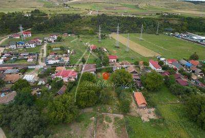 Teren intravilan cu PUZ si Certificat de Urbanism - 6