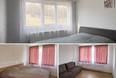 Spațiu comercial, în Ciucea - 5