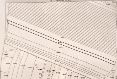 Teren de 10000 mp, în Vladimirescu - 2