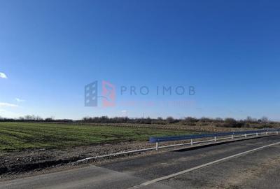 Teren intravilan 2461 mp zona Vadu pasii Nod rutier Autostrada A7 Teren intravilan 2461 mp zona Vadu pasii Nod rutier Autostrada A7 - 1