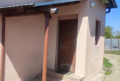 Casă cu 4 camere cu Teren 1450 Mp în Sacoșu Turcesc - 5
