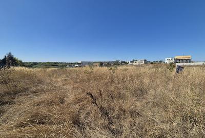 Teren 2500 mp – Izvorani | Deschidere directa la lac - 9