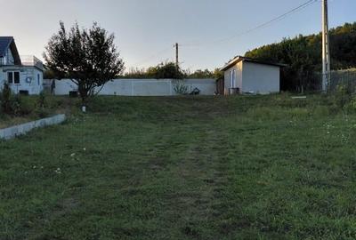 Vand casă și teren de 10 arii.Zina liniștită - 3