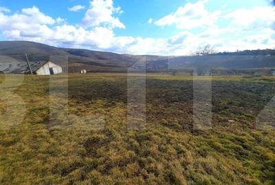 Teren de 44747 mp, în Cojocna - 3