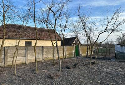 Casă cu Teren 1519 Mp în Boiu - 1