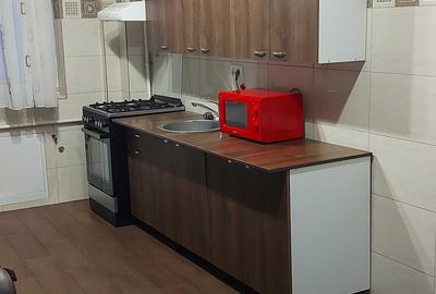 Apartament cu 2 camere semidecomandat în Sânnicoară - 4