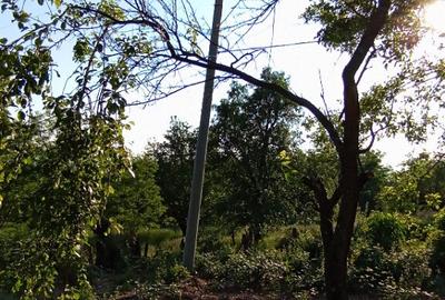 Teren 1600mp de VIS Daesti altitudine 600m Utilitati liniste Totala - 3