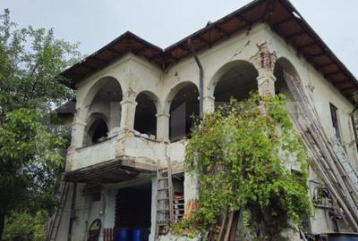 Teren extravilan 17524 mp, expunere sudica, Viforata - 20