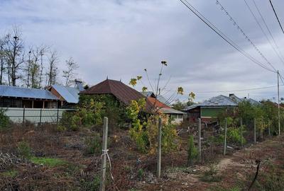 Spațiu comercial, în Fierbinții de Jos - 5