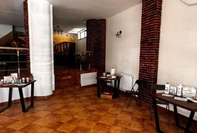 Spatiu Comercial, 508 mp, zona Valea Rosie - 2