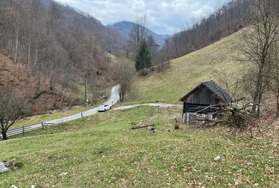 Teren de 12877 mp, în Bulz - 5