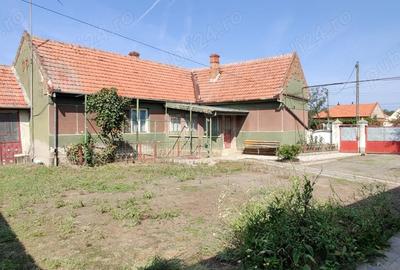 Casa gospodarie in Belint - 4