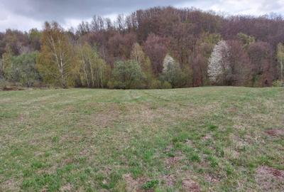 Spațiu comercial, în Damiș - 8