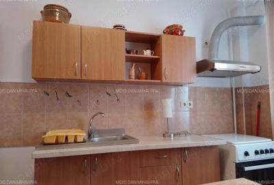Garsonieră decomandată în Turnișor - 9