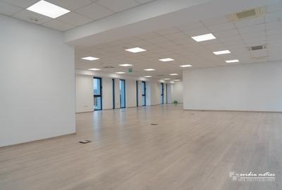 Birouri sau showroom aproape de aeroport - 4