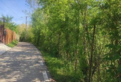 Teren de 868 mp, în Vișinești - 4
