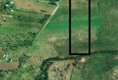 Teren de 8220 mp, în Hunedoara - 1
