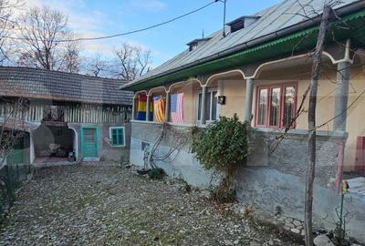 Casă cu 2 camere în Măgura - 17