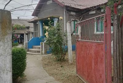 Casă cu 4 camere cu Teren 3046 Mp în Zebil - 4