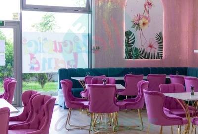 Proprietate specială, de 200 mp, în Baicului - 3