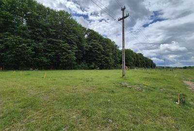 Teren Construcții intravilan de 1000 mp, în Sâmbăta de Sus - 7