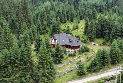 Casă individuală cu 6 camere cu Teren 20000 Mp în Panaci - 2