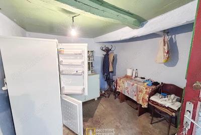 Teren de 3252 mp, în Tauț - 10