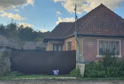 Casa de vanzare la ?ara - 2