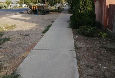 Casă cu 3 camere în Barcea - 3