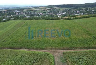 Teren de 3600 mp, în Racova - 7