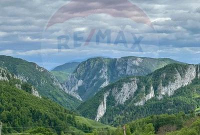 Cabana de vanzare COMISION 0% - 2